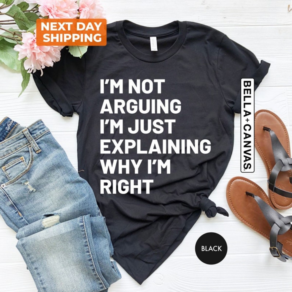 Funny T-Shirt Explain Why I’m Right  Sarcastic Saying, Humorous Quote