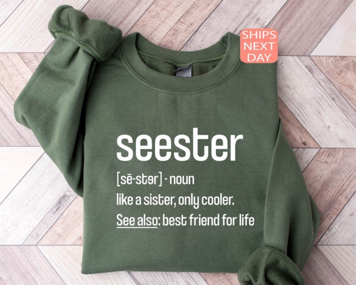 Sister Gift Funny Sweatshirt for the Best Sibling Ever